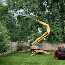 Best Commercial Tree Services  in Dover, DE